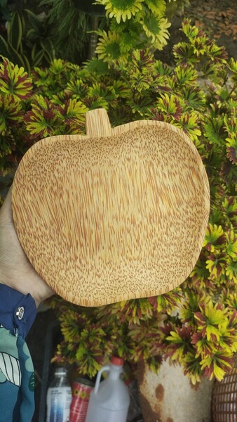 Sản phẩm mỹ nghệ từ gỗ dừa
